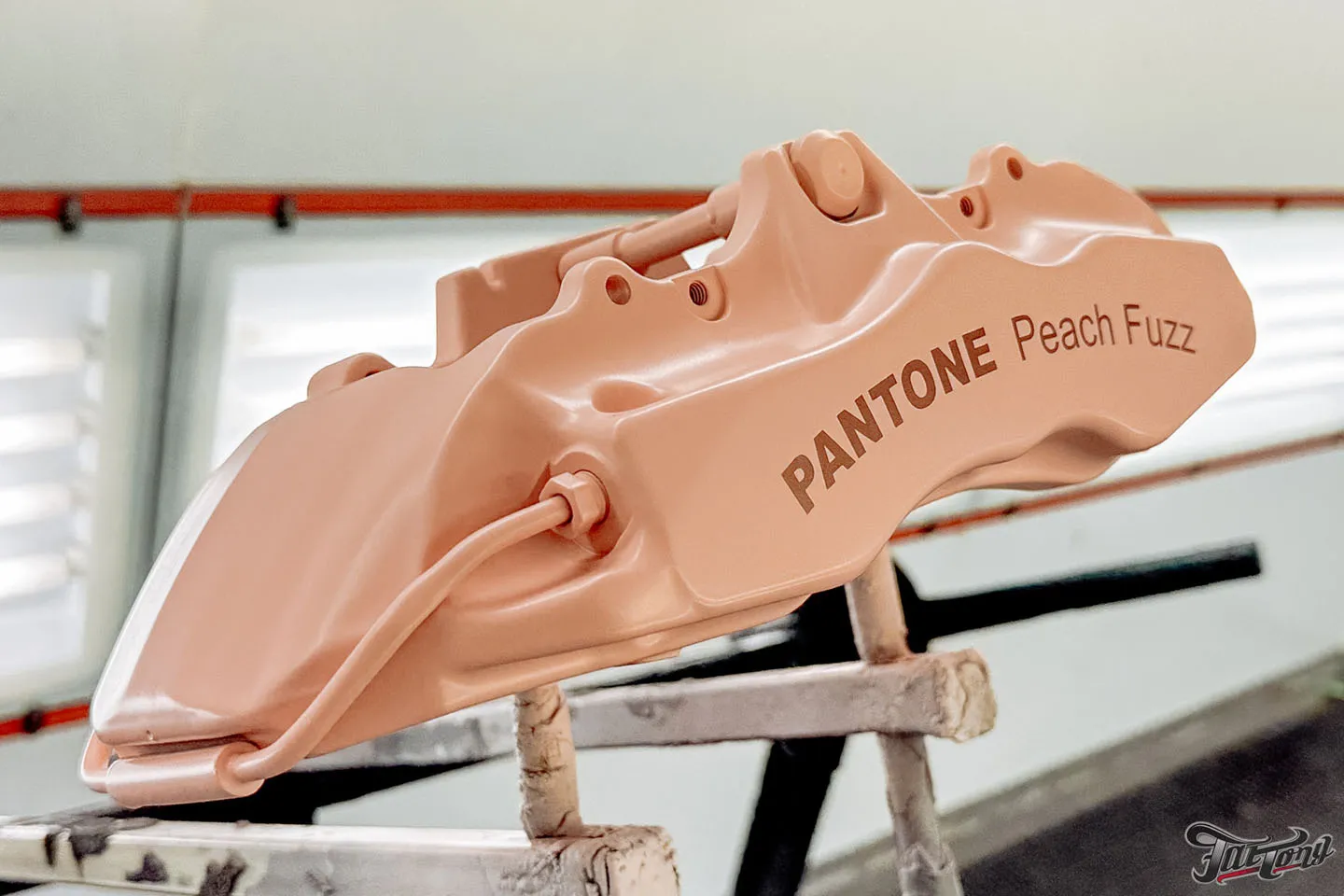 Суппорта в цвете 2024 года от Pantone Peach Fuzz